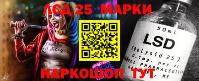 ГАЛЛЮЦИНОГЕННЫЕ ГРИБЫ Ачхой-Мартан