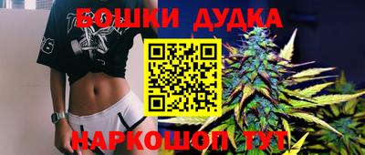 индика Аша