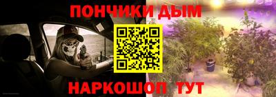 индика Аша