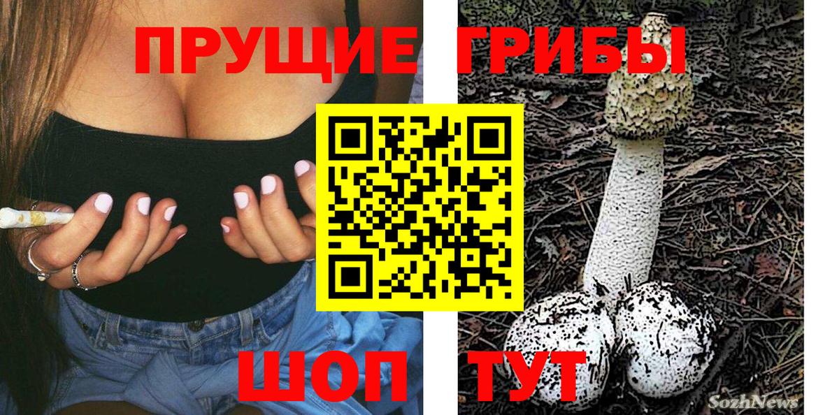 Галлюциногенные грибы прущие грибы  дарнет шоп  Галлюциногенные грибы мицелий  Белово  Вход с VPN 